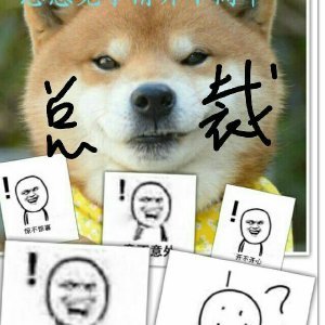 总裁大人的懵逼日常[系统]
